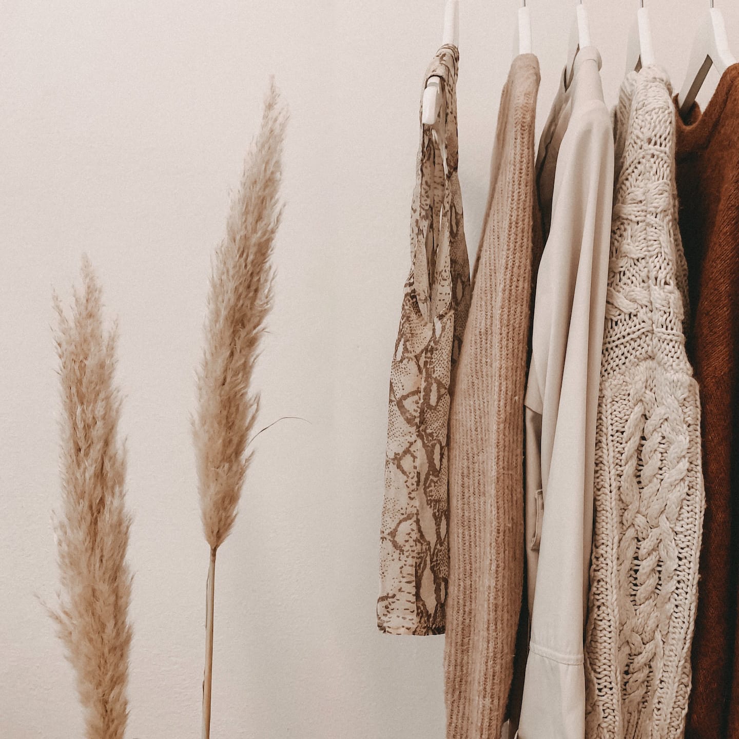 alyssa-strohmann-TS--uNw-JqE-unsplash